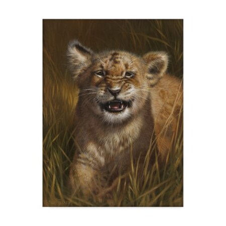 Trademark Fine Art